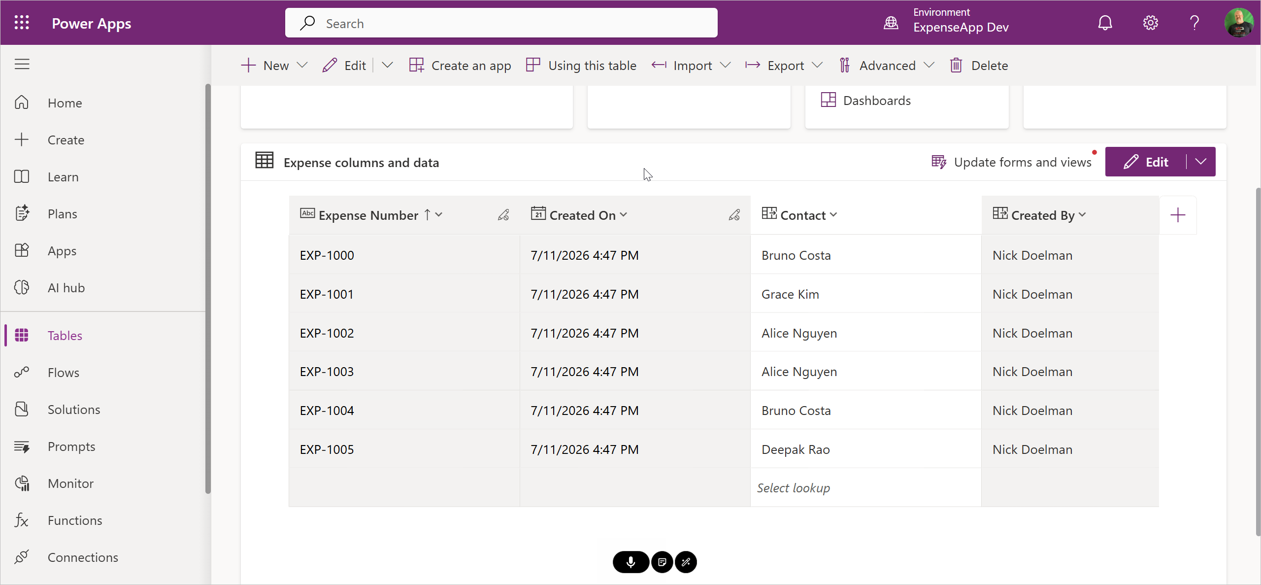 Sample expense data in the maker portal
